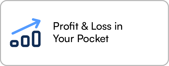 02 Profit & Loss In your Pocket